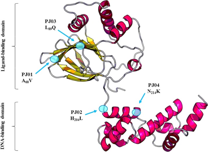 FIG 1