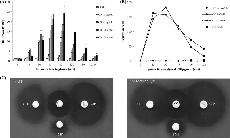 FIG 3