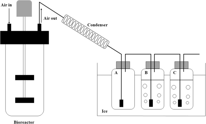 Fig. 7