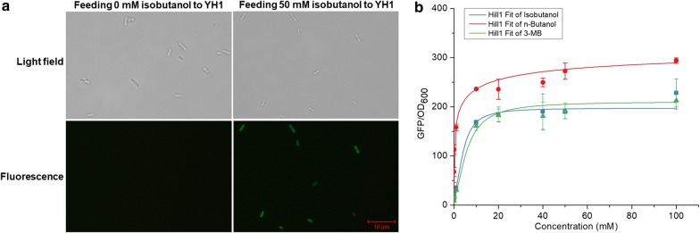 Fig. 2