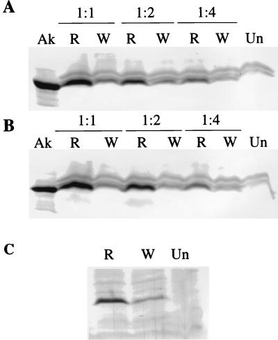 FIG. 5