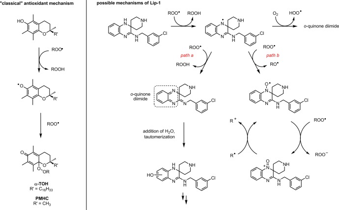 Scheme 2