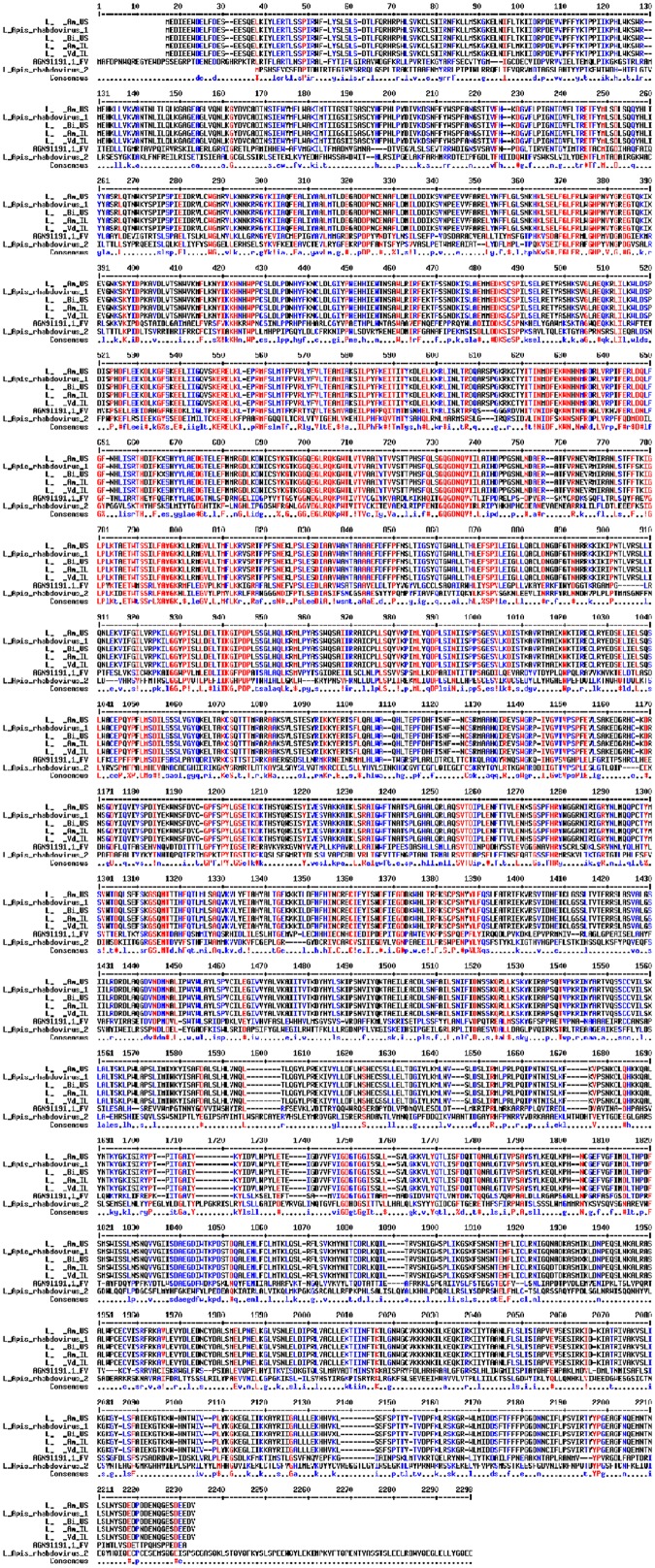 FIGURE 1