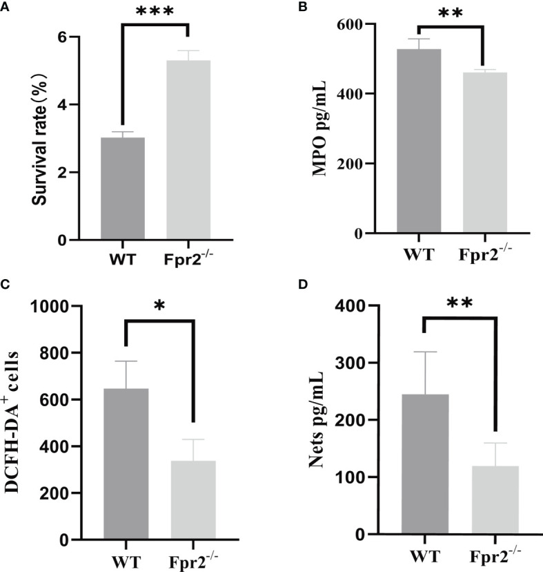 Figure 7