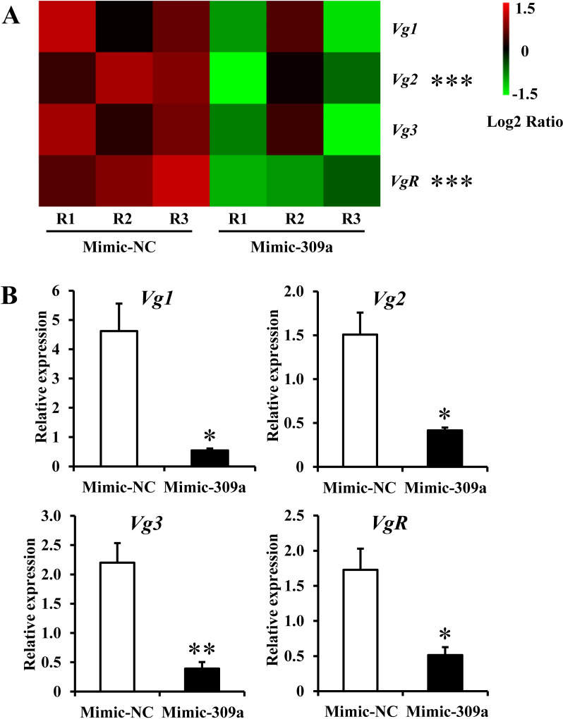 Fig 5