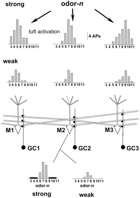 Fig. 3