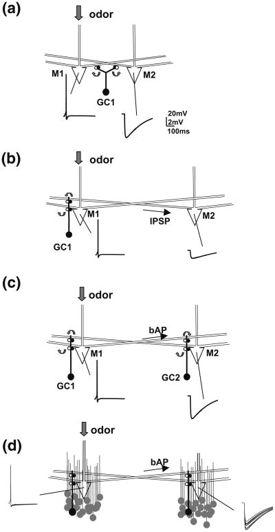 Fig. 2