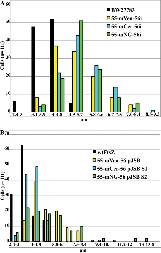 FIG 4