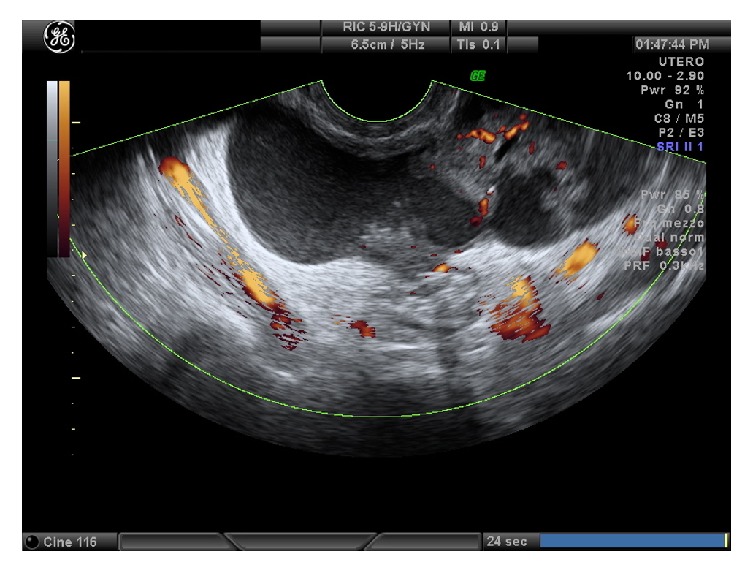 Figure 3