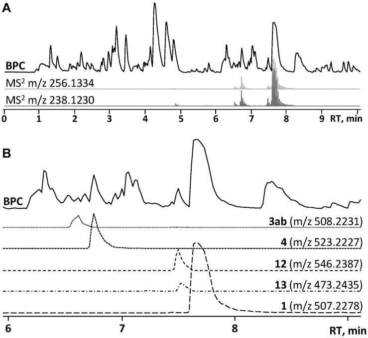 FIGURE 3