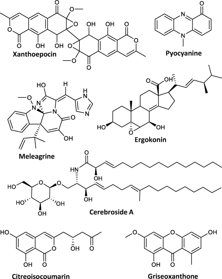 FIGURE 2