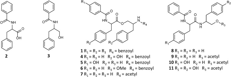 FIGURE 1