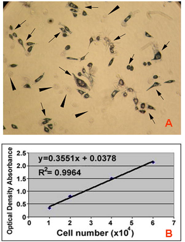 FIGURE 1