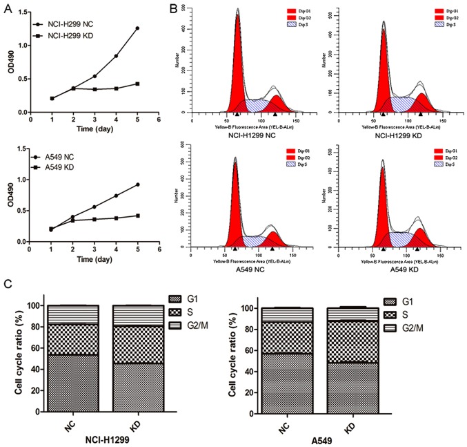 Figure 3.