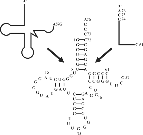 Figure 1.