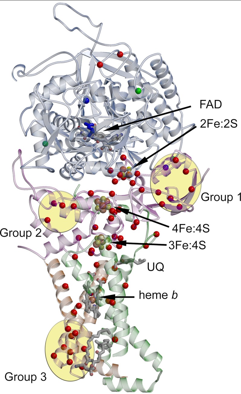 FIGURE 2.