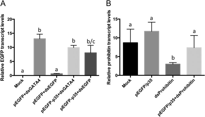 FIG 4