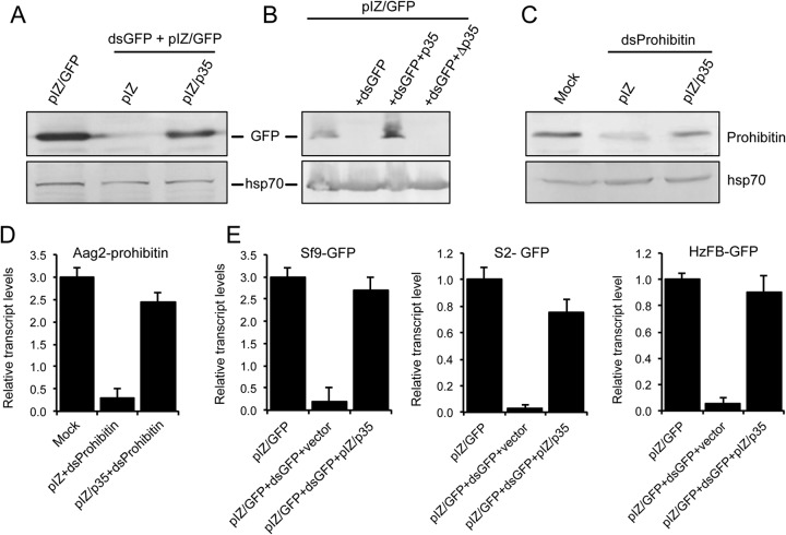 FIG 3