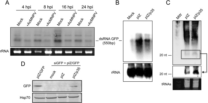 FIG 6