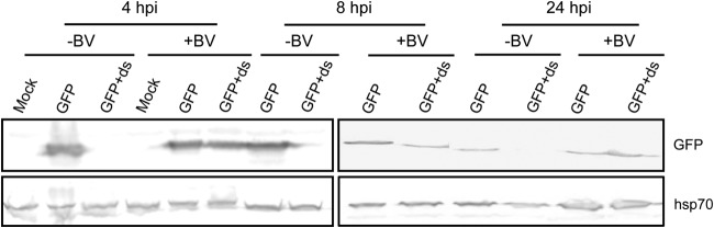 FIG 2