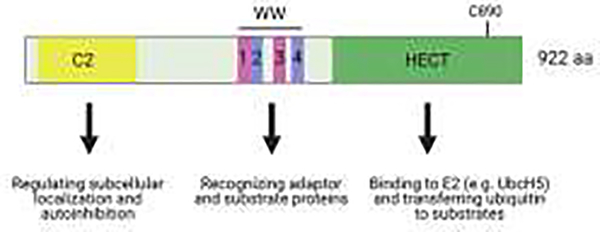 Figure 3.