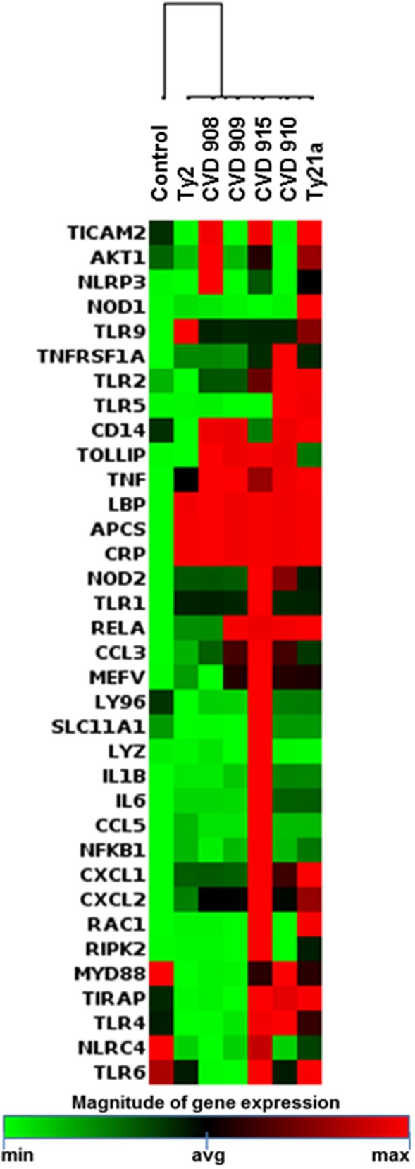 Figure 4