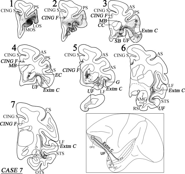 Figure 14.