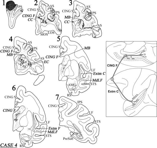 Figure 9.