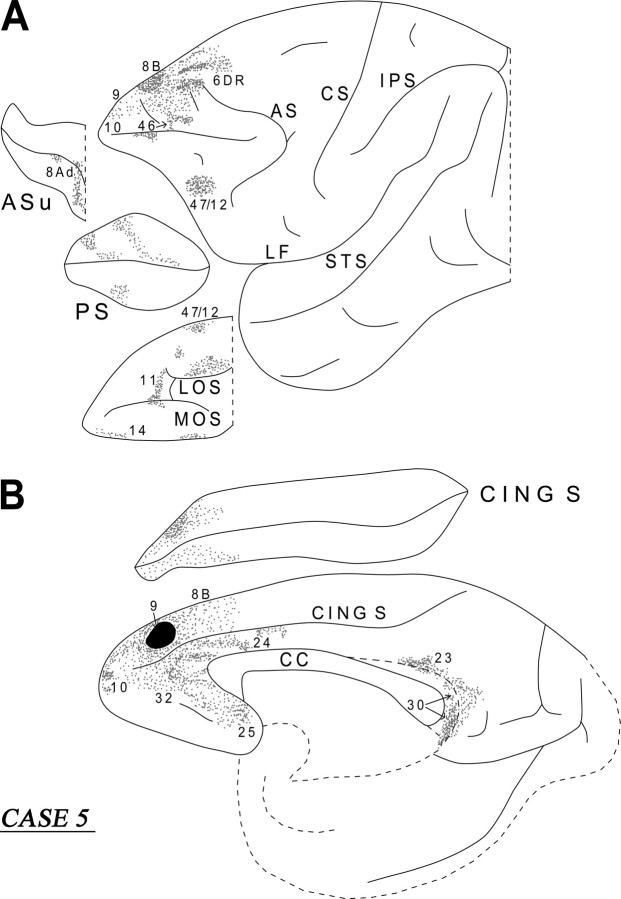 Figure 10.