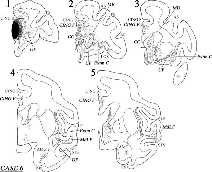 Figure 12.