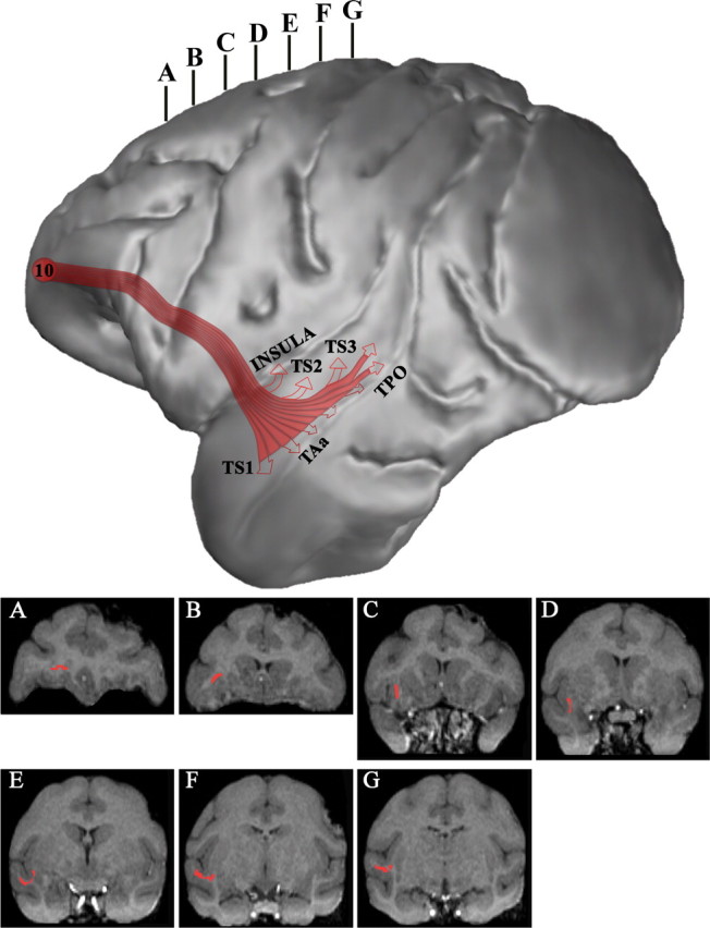 Figure 15.