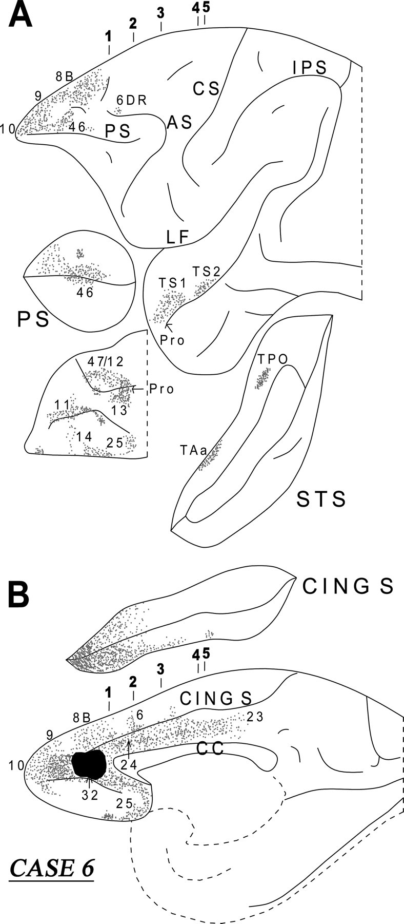 Figure 11.