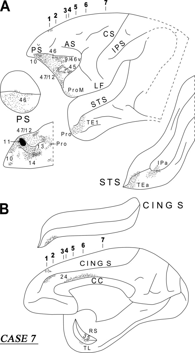 Figure 13.