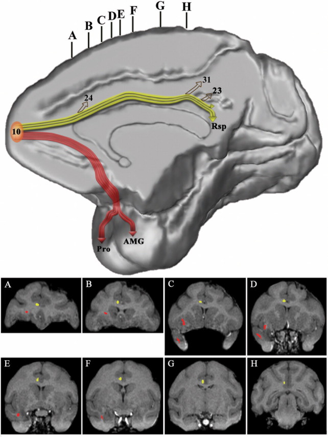 Figure 16.