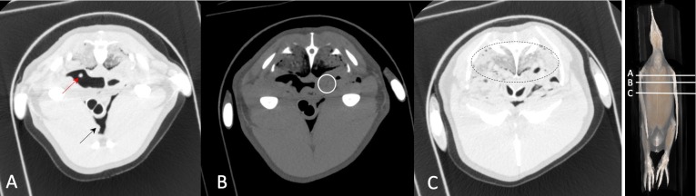 Fig. 2.