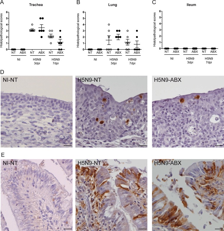 FIG 3