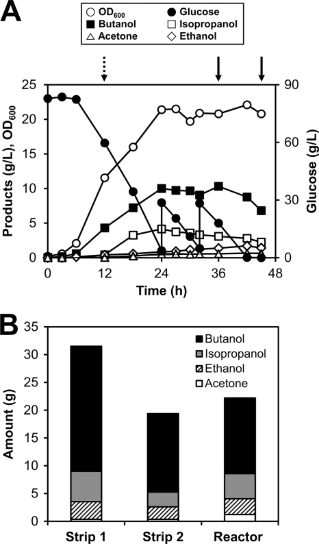 Fig 4