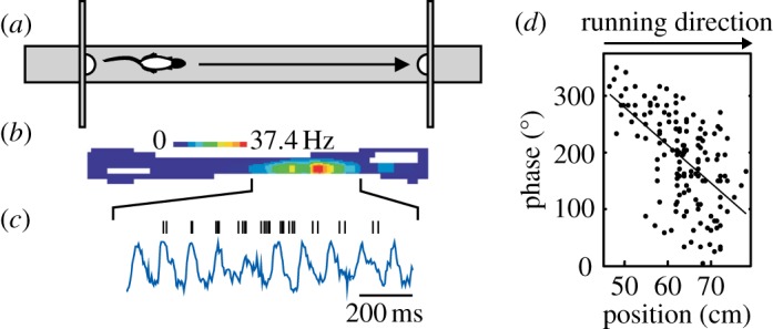 Figure 3.