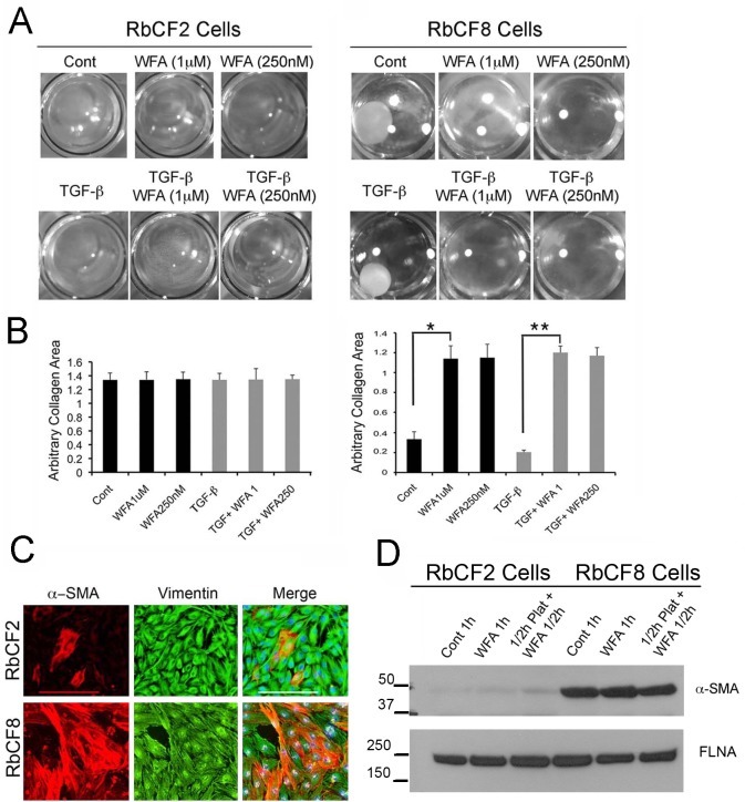 Fig 8