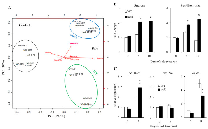 Figure 7