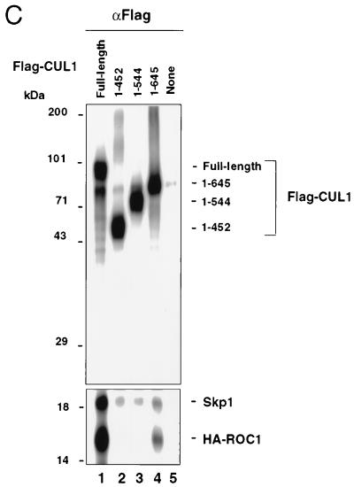 FIG. 5