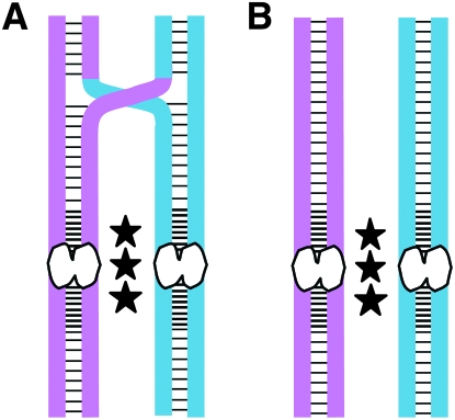 Figure 1.—