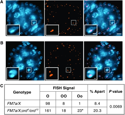 Figure 6.—