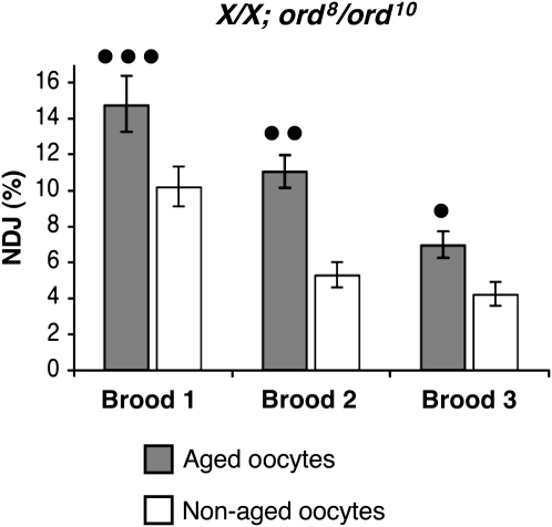 Figure 4.—