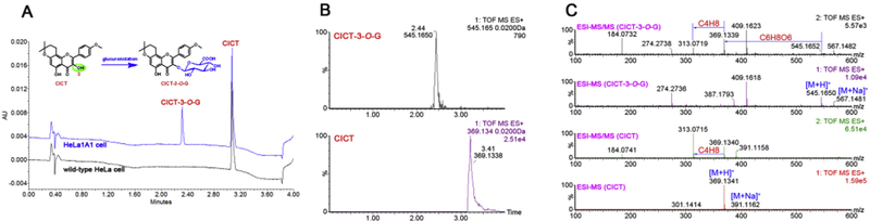 Fig. 2.