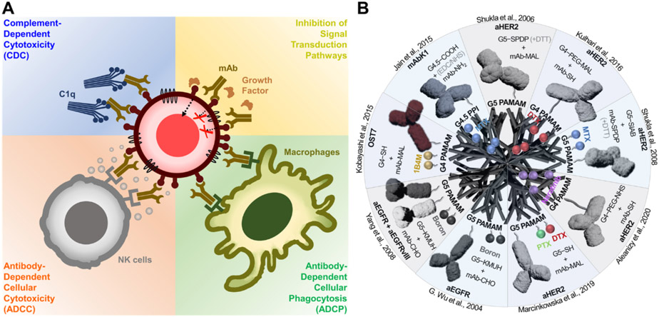 Figure 4: