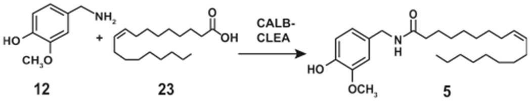 Scheme 14.