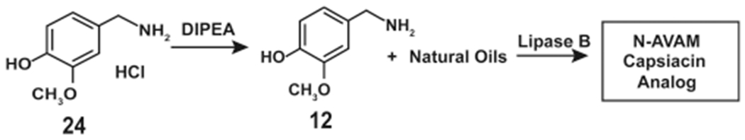 Scheme 13.