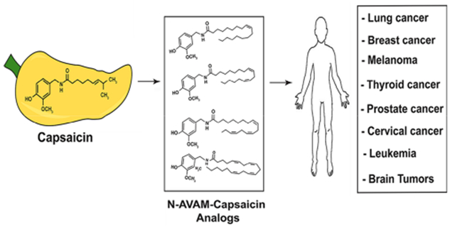 graphic file with name nihms-1921839-f0019.jpg