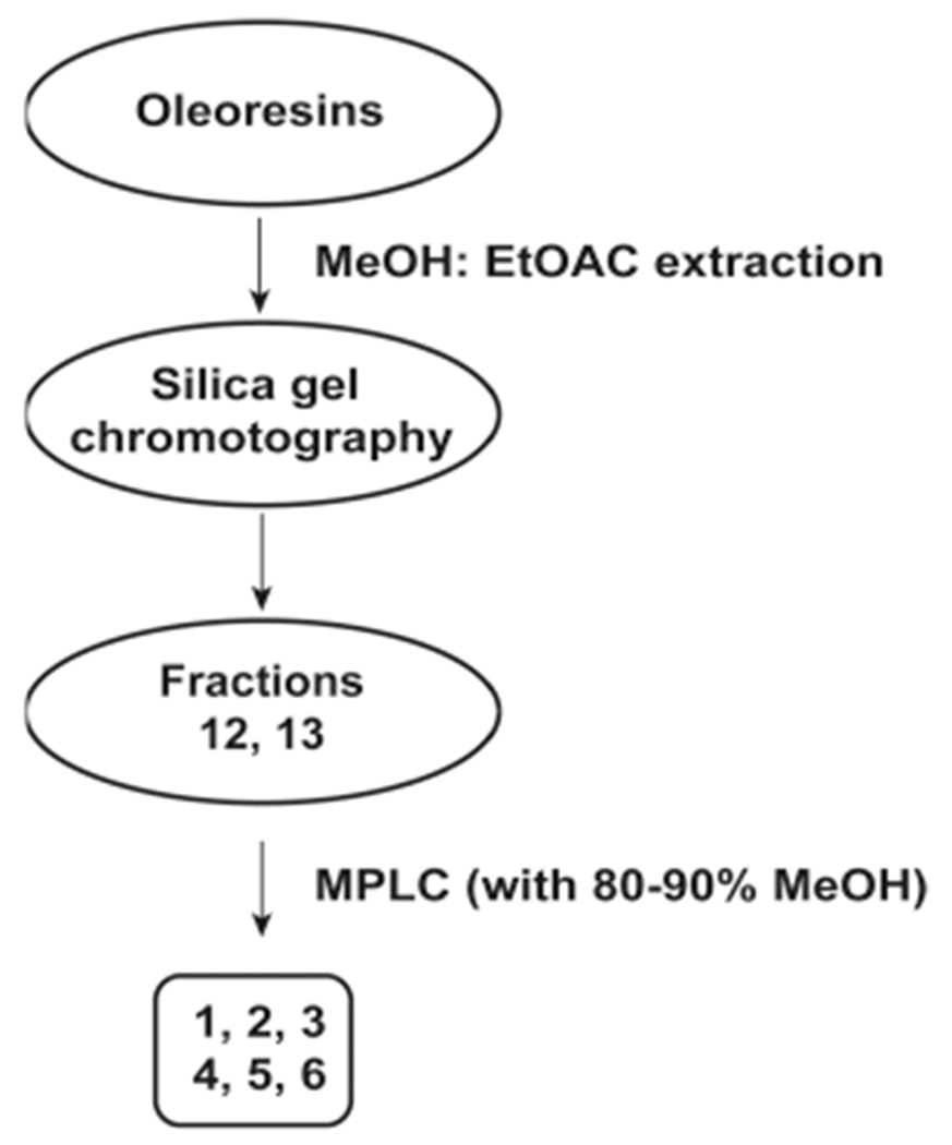 Scheme 1.